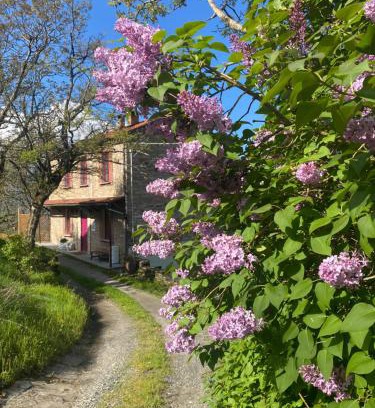 Berceto Bed & Breakfast | La Lupa e l'Orso