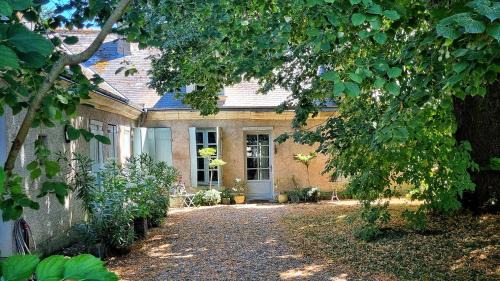 Prunay-Cassereau Bed & Breakfast | La Maison Céladon