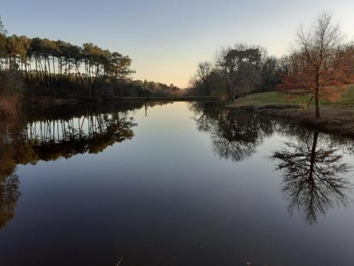 Saint Martin de Coux House | La maison d'Augusta