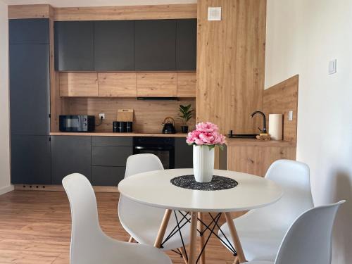 Gizycko Apartment | La Masuria Apartment