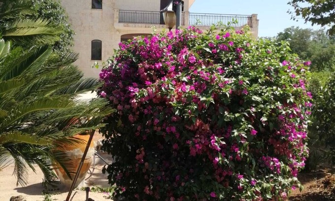 Fasano Villa | La Mery Giò House