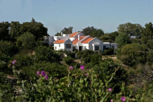 Los Cocos Apartment | La Morada Aparts & Suites