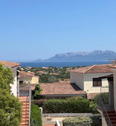 Pittulongu Apartment | La Pavoncella