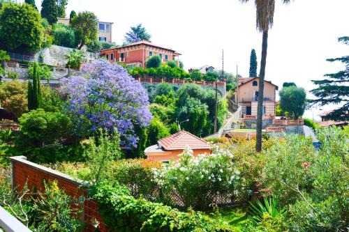Alassio Apartment | La Pergola Blu