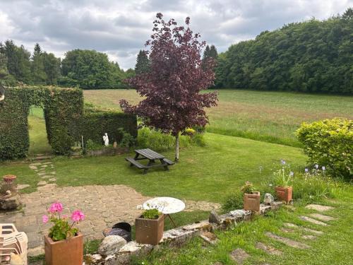 Bourg-Lastic House | La Servolle