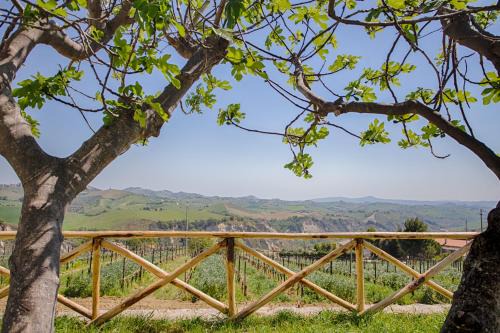 Offida Bed & Breakfast | La Terrazza sul Vigneto