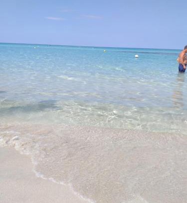 Lido Conchiglie Apartment | La veranda dei remi azzurri