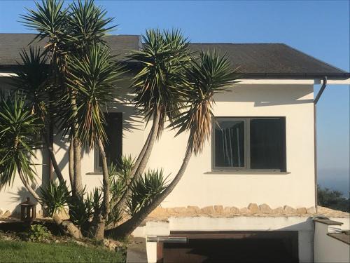 Cerveteri Villa | La villa di Alice