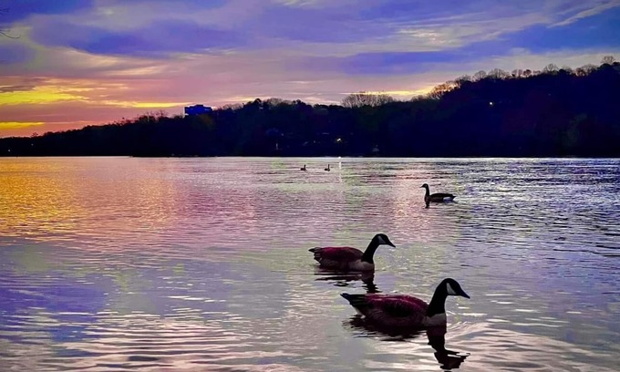 Grant House | Lake Guntersville waterfront lake house Snug Harbor- Great fishing