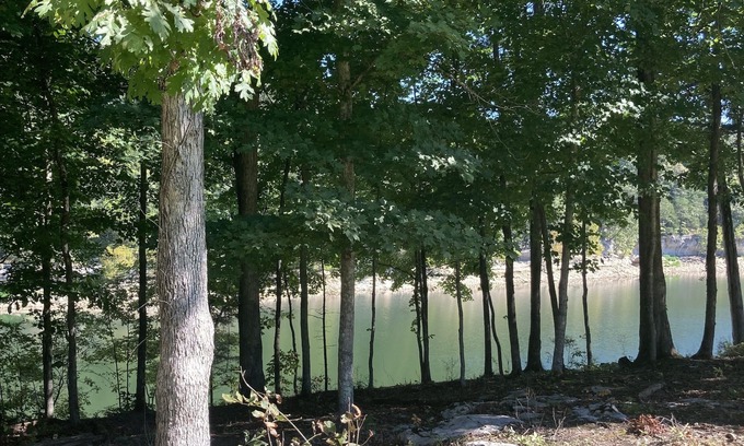 Sloans Valley House | Lakeside Hideaway II - lakefront with hot tub/walk to boat ramp