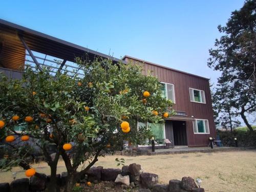 Hallim House | Lalala the Pretty Hyupjae Pension