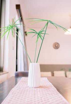 Assos-Lechaio House | LaPlayaSuites 1st