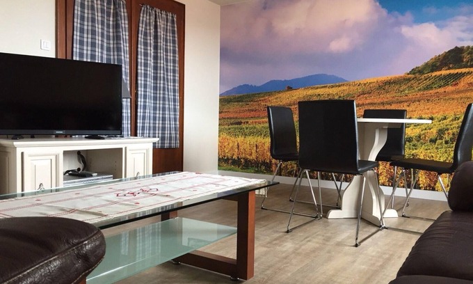 Itterswiller House | Large apartment Gite with terrace