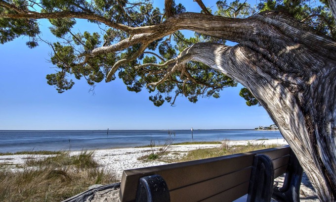 Crawfordville House | Laughing Gull House, Laughing Gull House