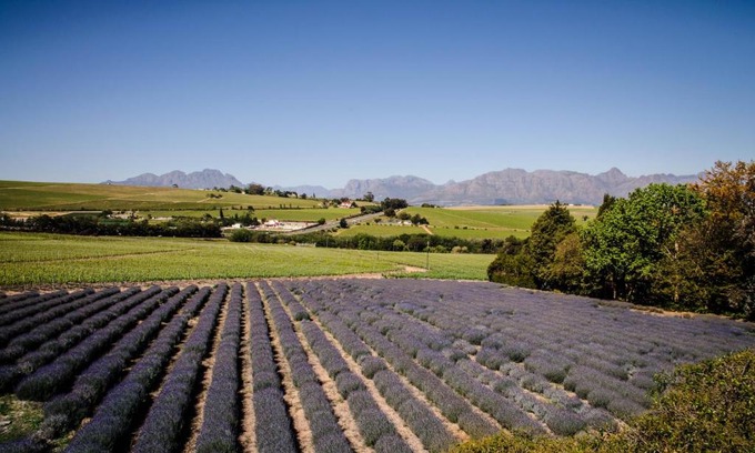 Trawal House | Lavinia Lifestyle