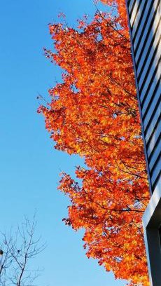 Mauricie Apartment | Le 1040 à deux doigts du Parc National !