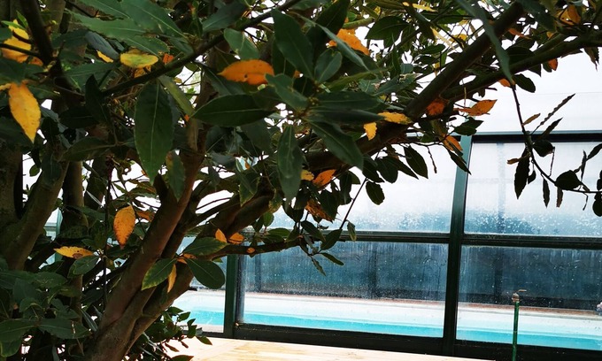 Bois-Jerome-Saint-Ouen Bed & Breakfast | Le Bois aux Cerfs