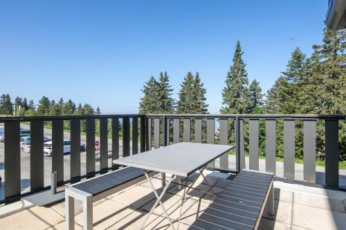 Chamrousse Apartment | Le Cocon d'Edwige - Vue montagne