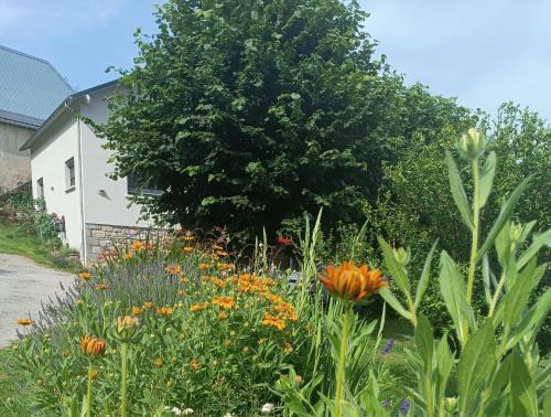 La Fouillade Bed & Breakfast | Le domaine de Moïse