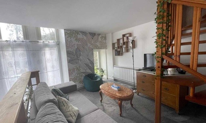 Saint-Nectaire Apartment | Le Léo Nid - Appartement Atypique