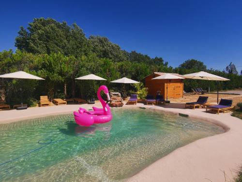 Mallemort House | Le Mas des iscles Mallemort