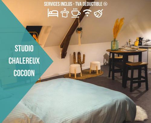 Chateauroux Apartment | Le Nid Cocoon Netflix Proche Centre-Ville