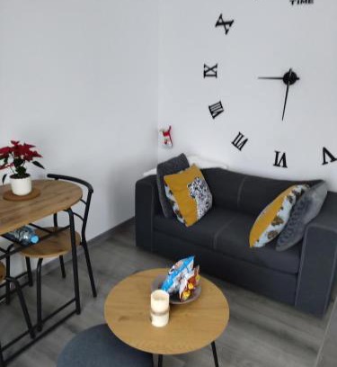 Zillisheim Apartment | Le nid du colibri appartement entier F1 à 5 mn de Mulhouse