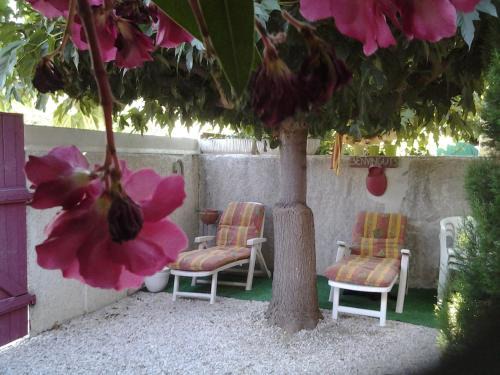 Torreilles House | Le patio de Torreilles-Plage