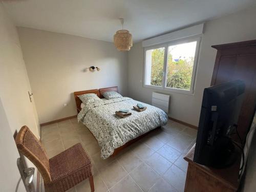 Langueux Apartment | Le Safran - Appartement chaleureux