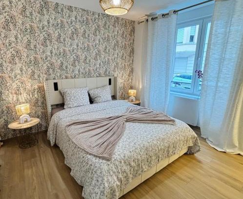 Mulhouse Apartment | Le Salvator - Mulhouse