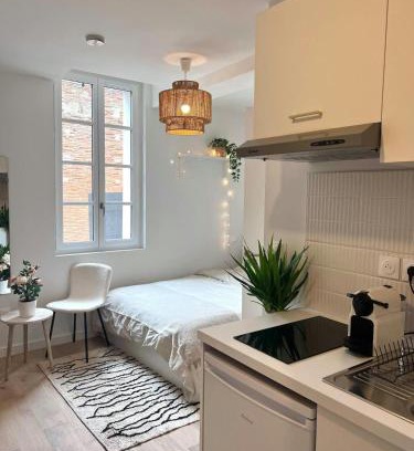 Toulouse City-Centre Apartment | Le Saphir