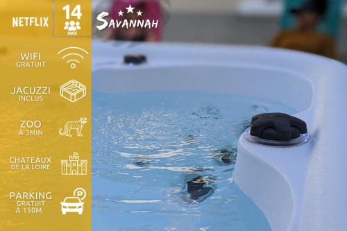 Saint-Aignan House | 'Le Savannah' - Jacuzzi - A 3min du Zoo de Beauval