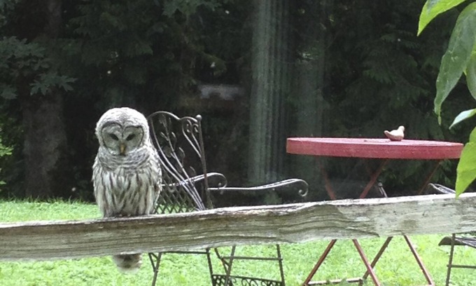 Union Hill-Novelty Hill House | Leisurely storybook country house near town