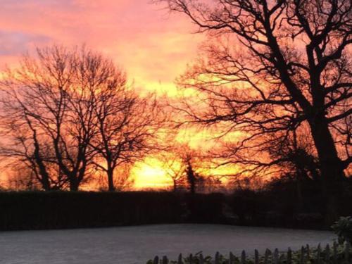 East Dereham House | Lemondrop Cottage