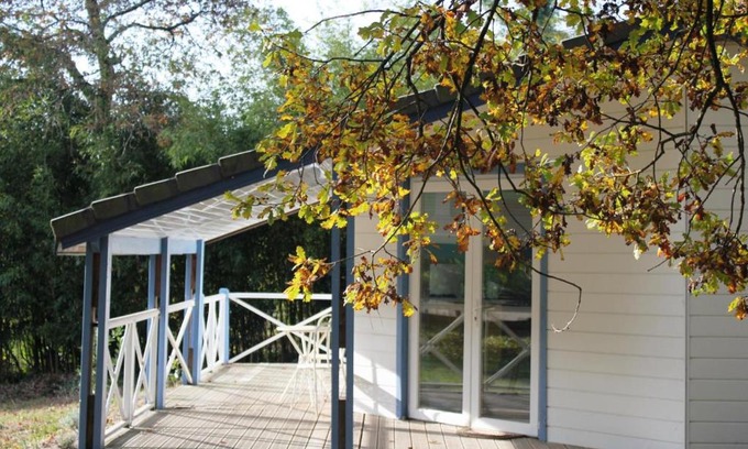 Taller House | Les bambous