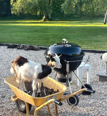 Saint-Gatien-des-Bois House | Les Gites de Claire