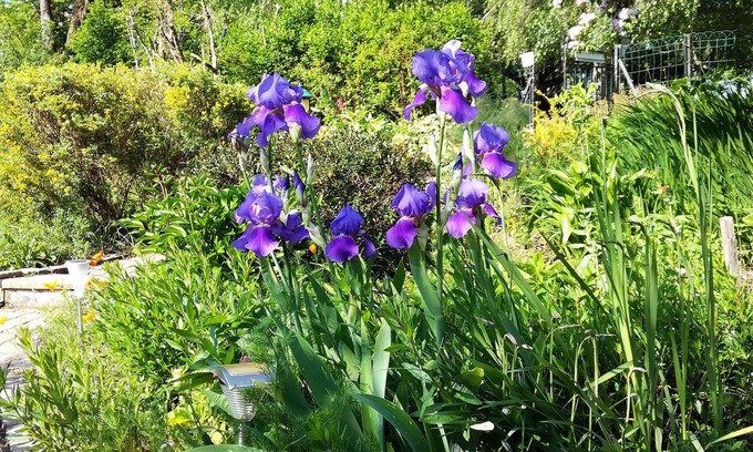 Villegouge House | Les Jardins de Camelot