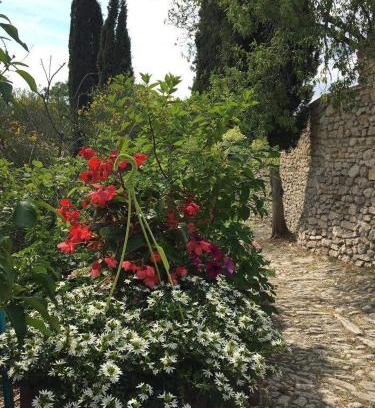 Montbrun-les-Bains House | Les Magnolias