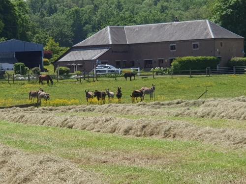 Saint-Hilaire-sur-Helpe Bed & Breakfast | Les Mout'Anes