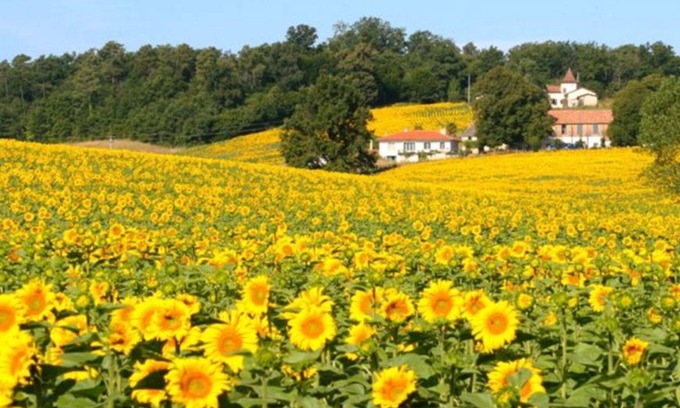 Montboyer House | Les Renaudières Chalais. private heated swimming pool