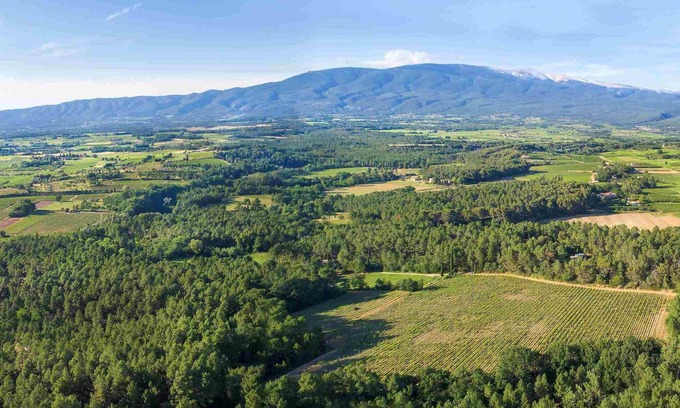 Mormoiron House | Les rois fainéants, the nature lodge