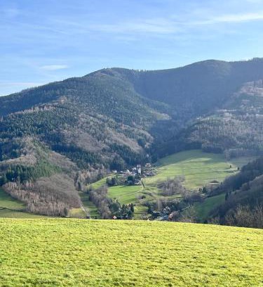 Saint-Philippe Apartment | Les volets bleus