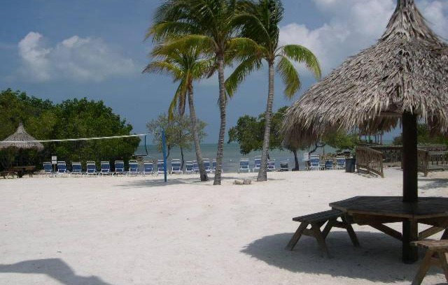 Tavernier House | LICENSED MGR - MODERN OCEANFRONT - OCEAN VIEWS CONDO! BAR and BEACH RESORT!