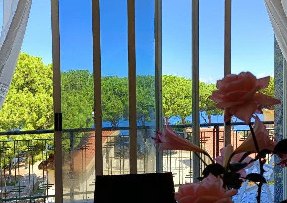 Scilla House | Life Home