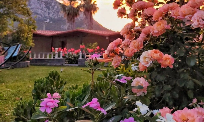 Adrasan Bed & Breakfast | Likya Adrasan