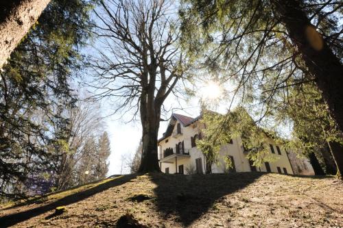 Palaino Apartment | Little House