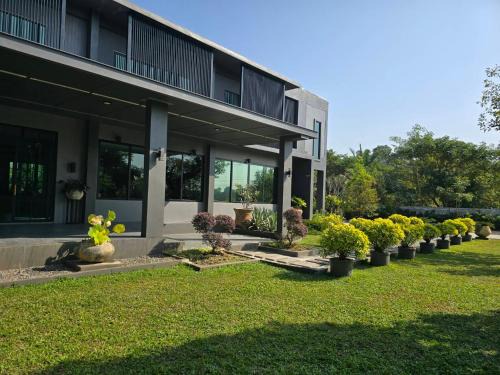 San Sai House | Live Specialty House