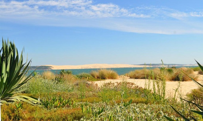 Le Teich Apartment | location de vacances Bassin Arcachon