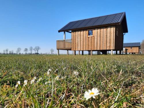 Ruinerwold House | Lodge by Dutch Meadows with Scenic Veranda