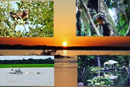 Saquena Cabin | Lodge Jungle Wolf Expeditions